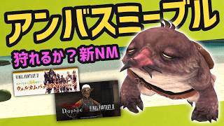 アンバスミーブル攻略 新NMどんな感じ？【FF11update】