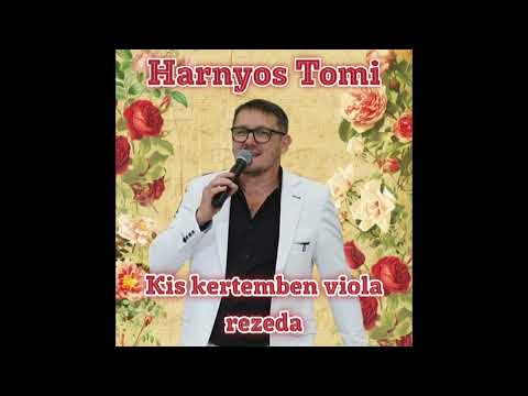 Harnyos Tomi - Kis kertemben viola rezeda