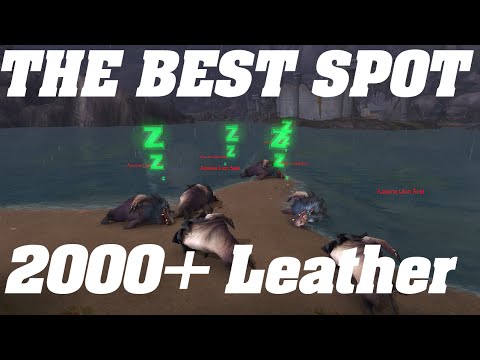 Legion: The BEST Skinning Spot | 2000+ Per Hour |