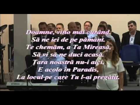 Alin si Emima Timofte, Sunt calator in aceasta lume