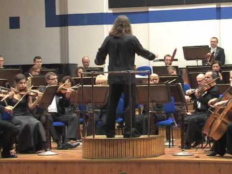 Brahms Symphony No. 4 in E Minor, Op. 98- I. Allegro non troppo