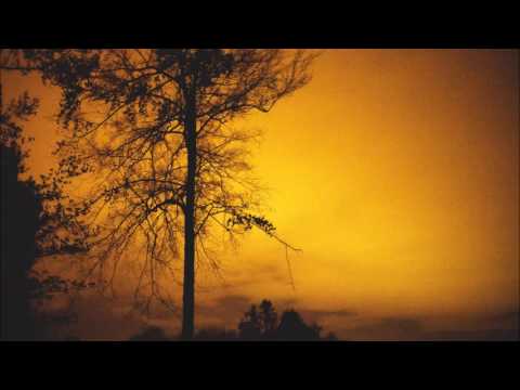 drip-133  - calving ft. falls