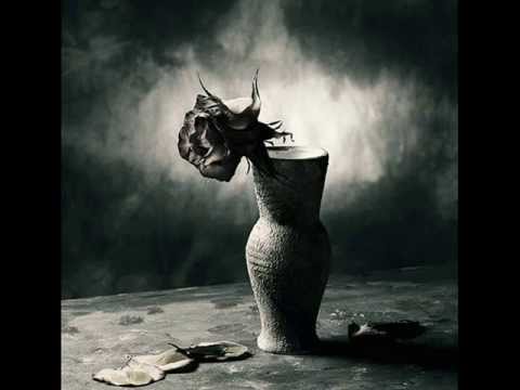 T1ONE & M$ PUP$ & F1NS -- РОЗЫ