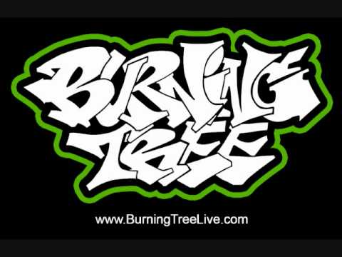 Burning Tree Dubstyle Improv Livewire Music Hall Savannah, Georgia