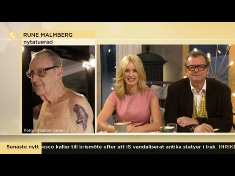 89-årige Rune tatuerade in sin saknade papegoja - Nyhetsmorgon (TV4)