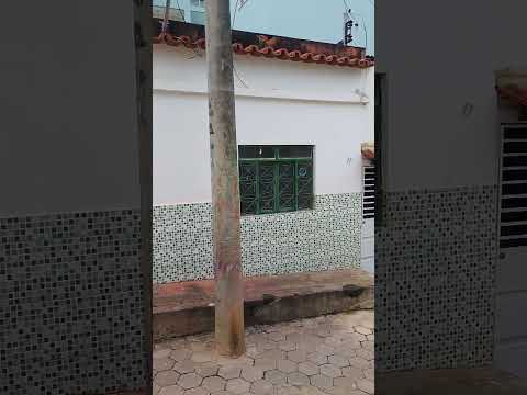 divino mg minha terra natal