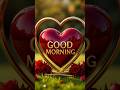 Very Very Good Morning Meri Jaan Goodmorning Shayari Viralvideo Whatsappstatus