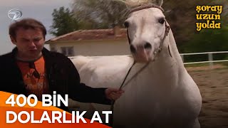 Bir At Arabadan Pahalı Olur Mu? | Şoray Uzun Yolda