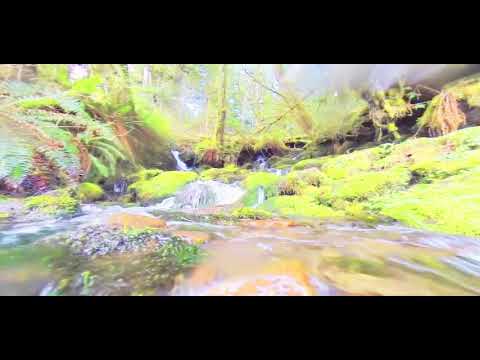 NOAH x COLTEN - Legal Tender (Prod. Iceman) Visuals