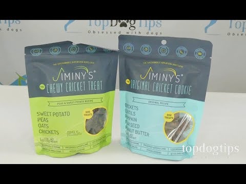download lagu mp3 mp4 Protein Dog Treats, download lagu Protein Dog Treats gratis, unduh video klip Protein Dog Treats