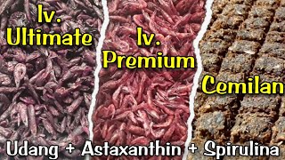 Download lagu Cara Bikin Udang Astaxanthin & Cemilan Untuk Pakan Channa Maru mp3