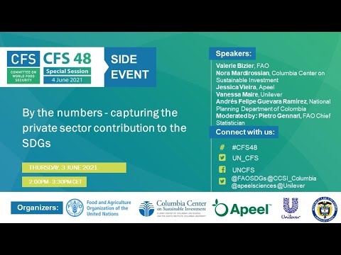By the numbers – capturing the private sector contribution to the Sustainable Development Goals (SDGs) and the agri-food system transformation