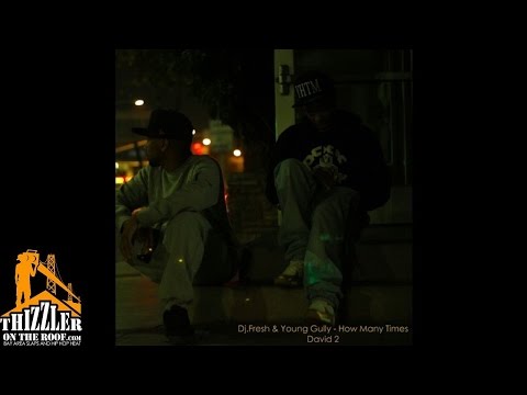 Young Gully x DJ Fresh - How Many Times (Prod. DJ Fresh) [Thizzler.com]