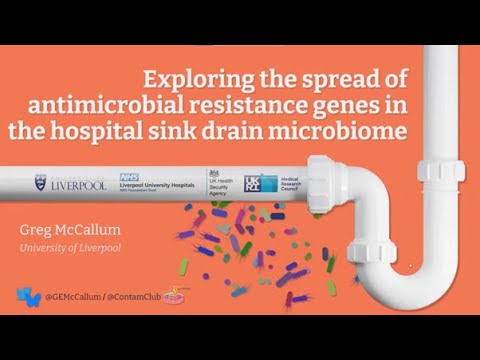 Exploring the spread of antimicrobial resistance genes in the hospital sink drain microbiome
