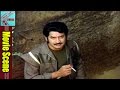 Krishna Action Scene Yuddam Movie Scenes Krishna Jayapradha MovieTimeCinema