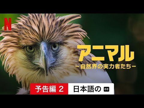 ブラジルのセラードの動物たち -