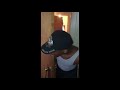 IS IT A GHOST WHEN HAITIAN MAN HEARS NOISES HOME ALONE