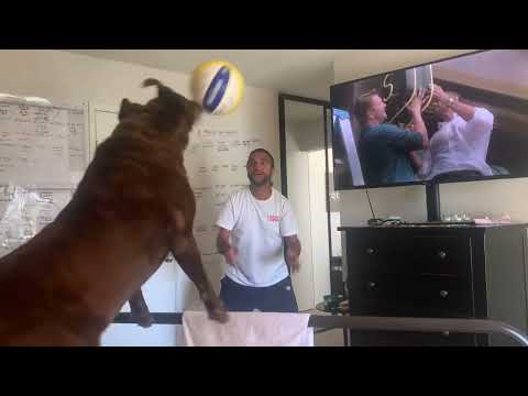 Baba playing volleyball WIth  fahim fazli