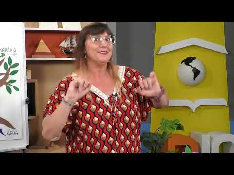 A importância da fotossíntese para as plantas e vida no planeta Terra | Rioeduca na TV - 2º Ano