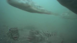 Underwater cam Far Rockaway ny 9/06/2025