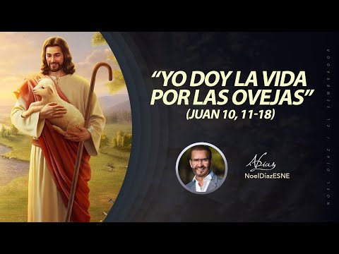 “Yo doy la vida por las ovejas” - Juan 10,11-18 - La Hora del Encuentro l 23 de abril, 2024