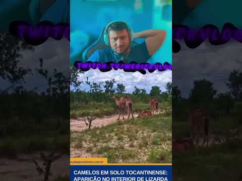 TOCANTINS  TA DIFERENCIADO DE MAIS TEM ATÉ ISSO! #peixe #pesca #pescaria #fishing