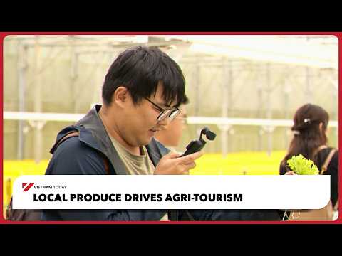 在地農產帶動農業觀光 | 今日越南 (Local produce drives agri-tourism | Vietnam Today)