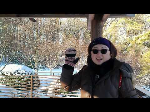 17 Miles = 1 Pound of Fat: The Walking Experiment