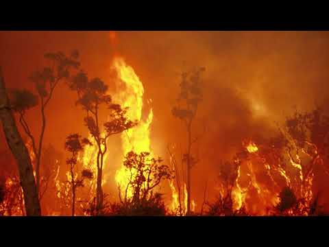 Ajahn Nissarano - Aversion and its opposite