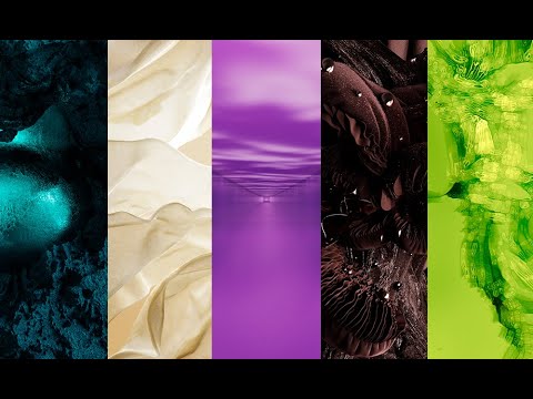 Coloro + WGSN: Key Colors A/W 26/27