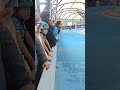 One Lap 200m India Best Time Skater Mr Arayan 60th National Championship 2022 23 In Bangalore