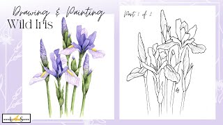 Iris Flower! Learn How to Draw and Paint Beautiful Wild Iris Flowers! Part 1 of 2