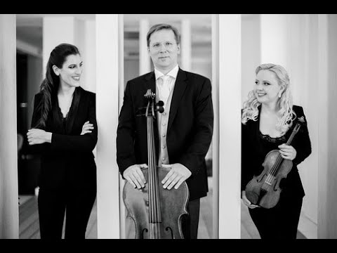 Trio Vision in the framework of 'Beethoven Frühling' 2021