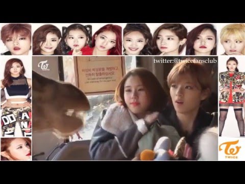 151211 [ TWICE ](트와이스 )TV2 EP8 - Afraid of giraffe -CUT