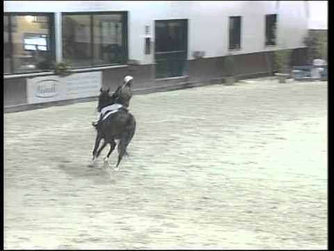 Betti Viola Sofia su Falco Cat.115 Pontedera 2011.mpg