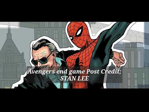 Stan Lee Avengers end game Post credit