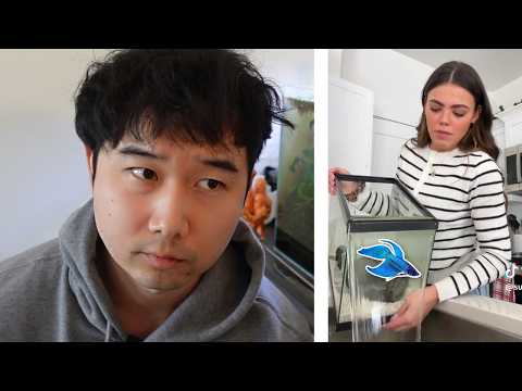 this can't keep happening | Fish Tank Review 353