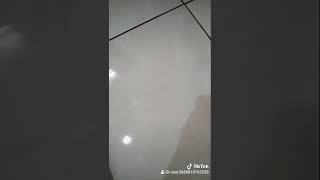 Download lagu Nyamuk-nyamuk Nakal..🦟, Hap-hap..🦎, Lalu ditangkap...🤭 mp3