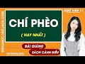 Chí phèo Ngữ văn 11 Cánh diều