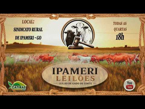 LEILÃO AO VIVO - IPAMERI LEILÕES - LEILÕES DE GADO DE CORTE -  IPAMERI - GO - 26 DE AGOSTO DE 2026.