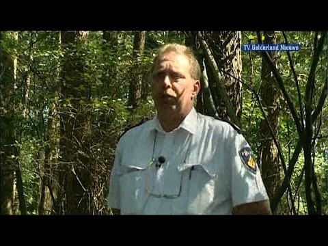 GLD Nieuws 6 september 2010 - Nieuws