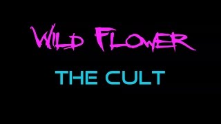 Wild Flower - The Cult  ( lyrics )