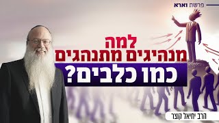 בבית, בחברה, בקהילה - מבחן המנהיגות הגדול | פרשת וארא (הרב יחיאל קוצר) - התמונה מוצגת ישירות מתוך אתר האינטרנט יוטיוב. זכויות היוצרים בתמונה שייכות ליוצרה. קישור קרדיט למקור התוכן נמצא בתוך דף הסרטון