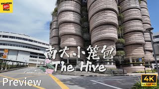 Is This The Coolest School Building Ever?南大的小笼包建筑-The Hive in NTU