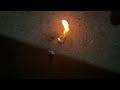 Casually Burning A Cockroach