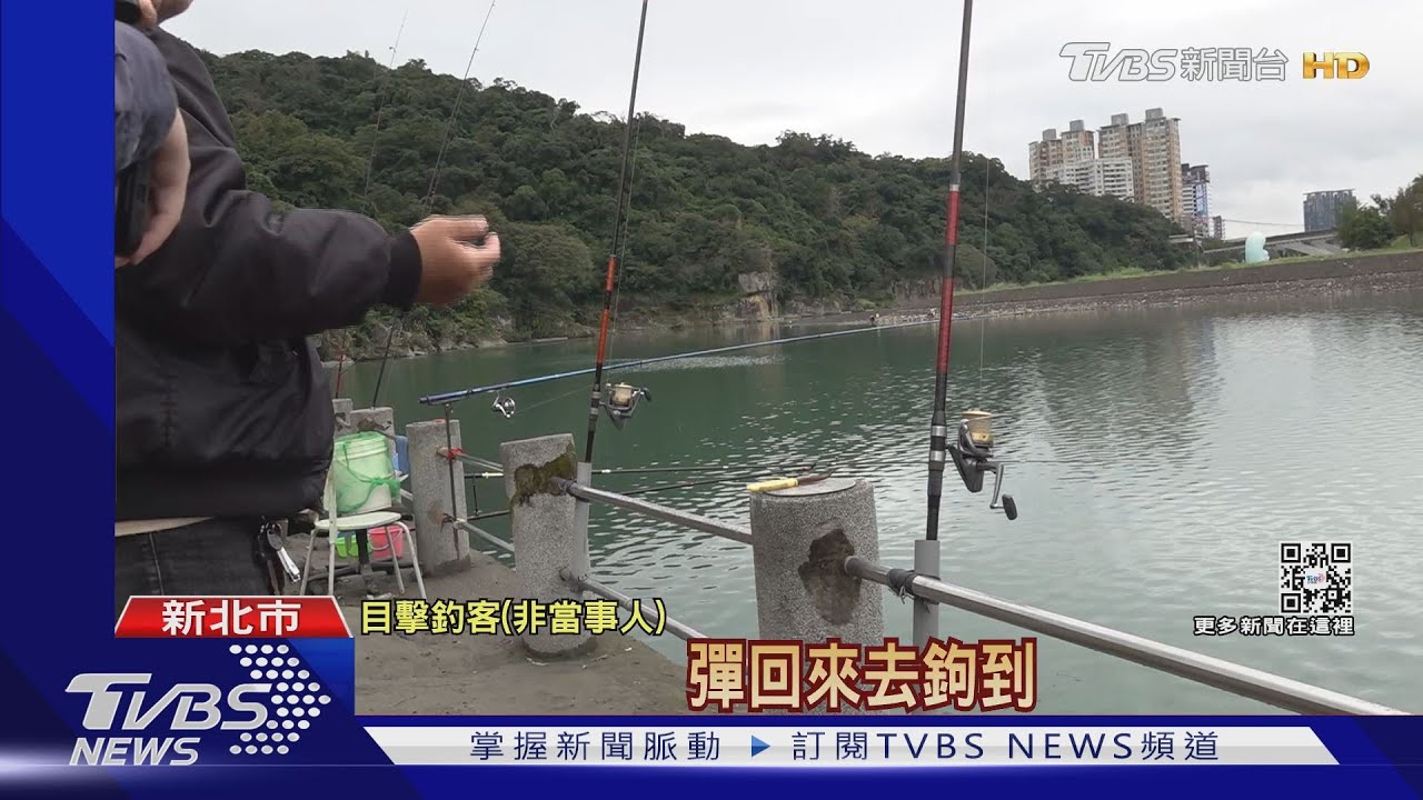 釣魚釣到「人」!女碧潭踩天鵝船遭魚鉤刺傷 告釣客傷害