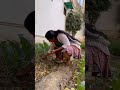 Padma Priya Hot