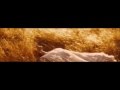 Lana Del Rey Bel Air Official Video From Tropico