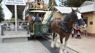 preview picture of video 'Victor Harbor horse-drawn tram, South Australia'