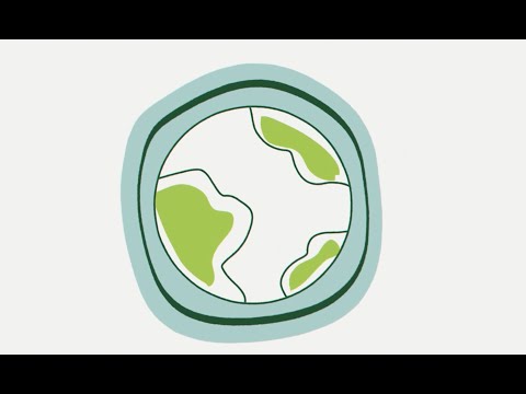 Meet Regrow